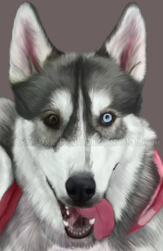 Mishka Portrait 