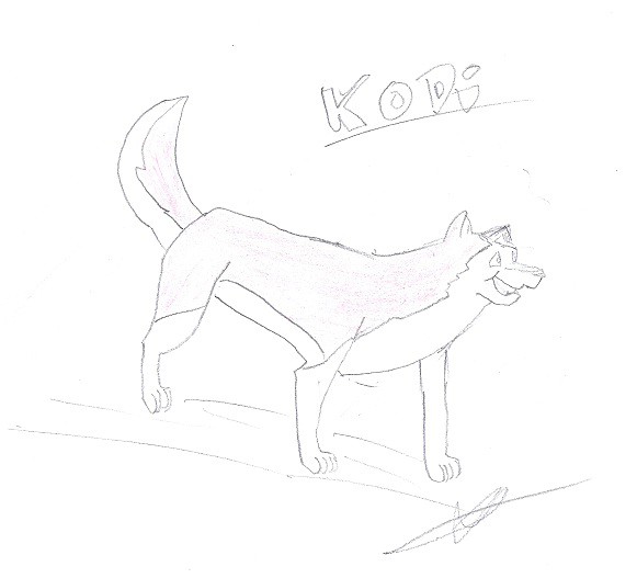 Kodi Essai 