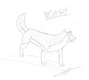 Kodi Essai 