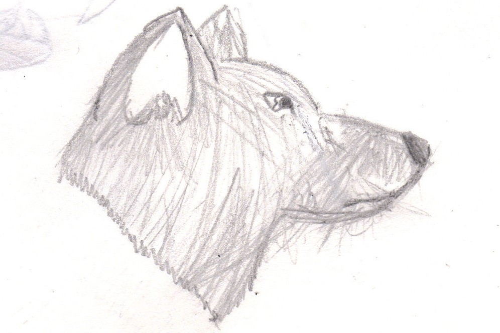Wolfie