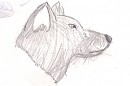 Wolfie