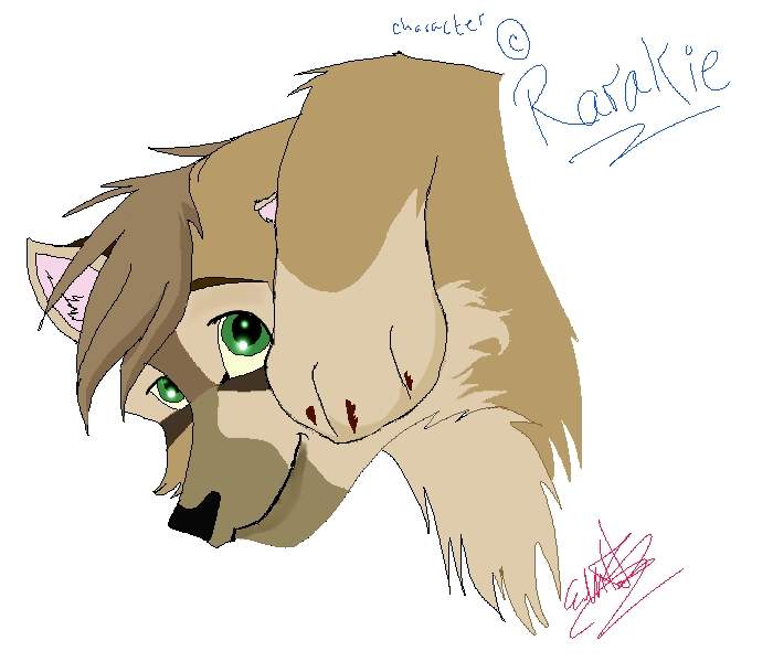 Rarakie