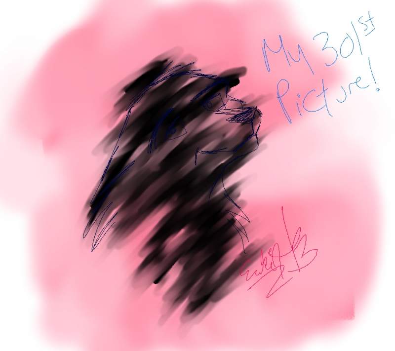 301st Picture