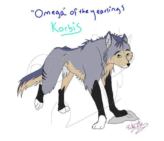 Korbis: Omega Yearling