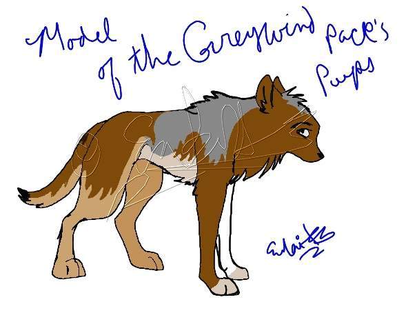 Anatomy referance sheet of the GreyWhind Pack