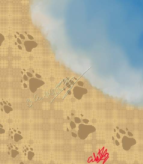 Sand's Tails