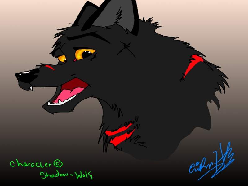 XWolf