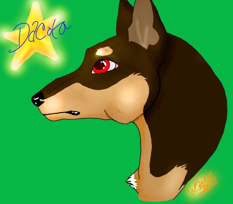 Dacota