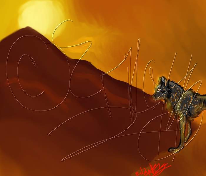 Koeyohte in the Sunset