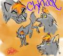 Chinook