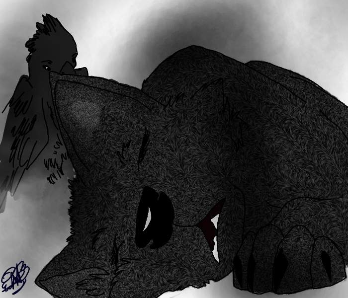 For Raven-THP