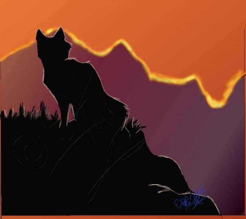 Old Silhouette