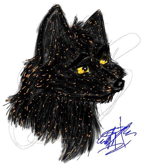 Koeyohte With Fur
