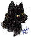 Koeyohte With Fur