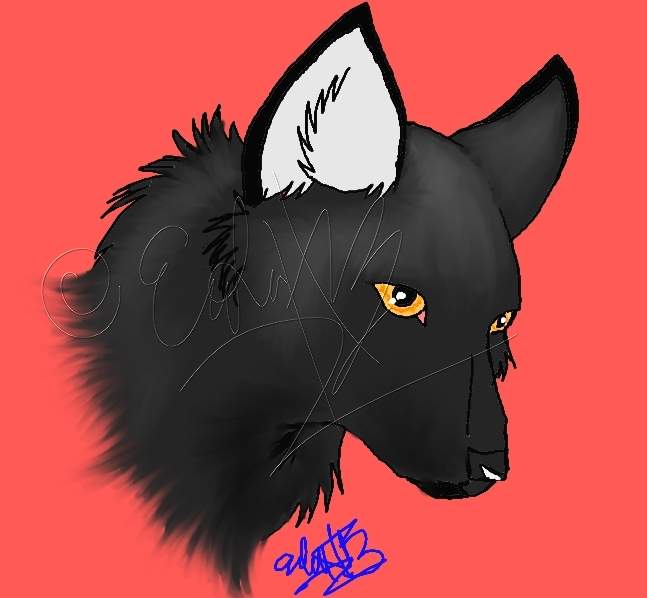 Wolf profile