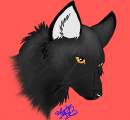 Wolf profile