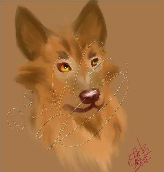 Wolf Profile