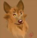 Wolf Profile
