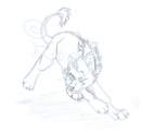 Wolf Lion gift