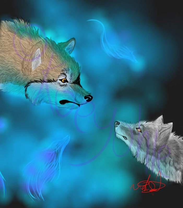 Twilight and Shadow