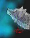 Wolf Pup Detail