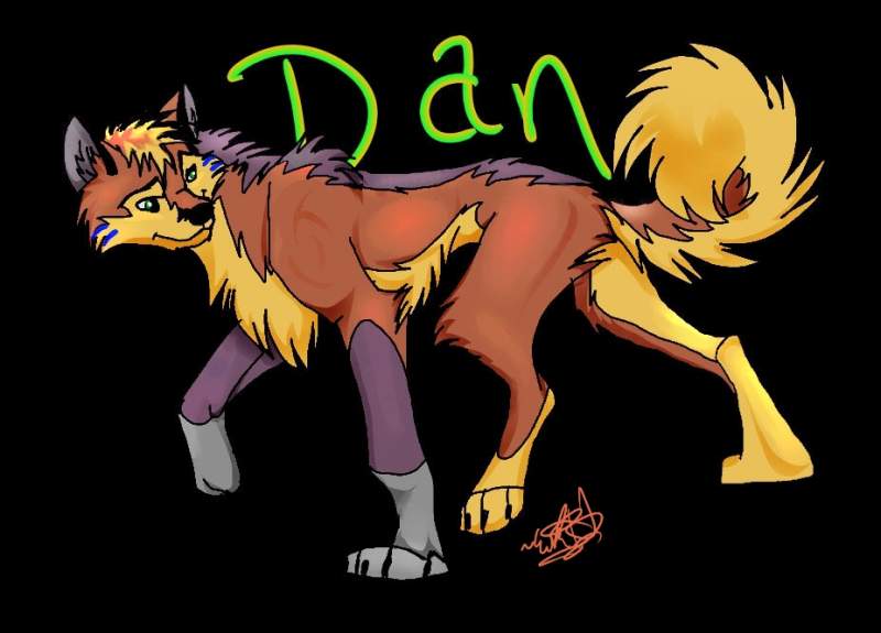 Danman gift