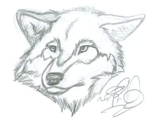 Eyes of Autumn sketch