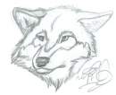 Eyes of Autumn sketch