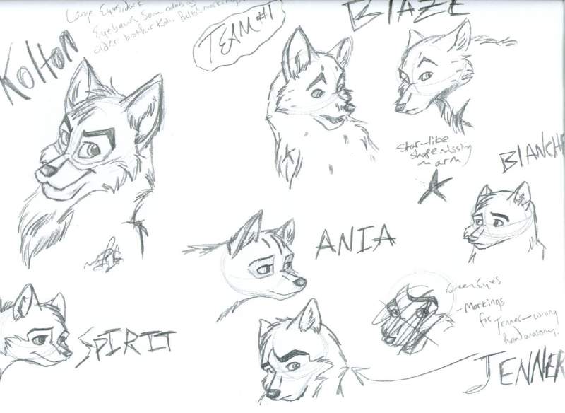 Team #1 - Balto's pups