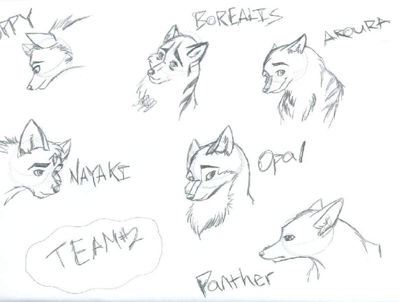 Team # 2 - Balto's pups