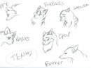 Team # 2 - Balto's pups