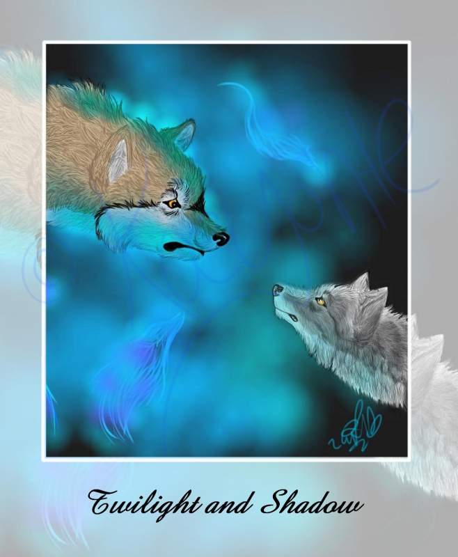 Twilight and Shadow: Print