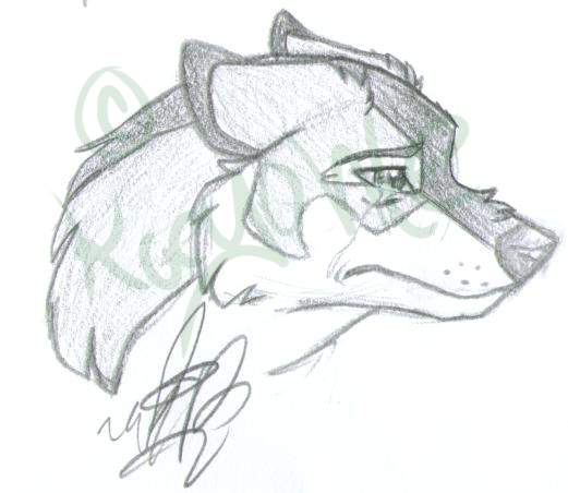 Janus Tears