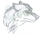 Janus Tears