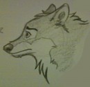 Balto Sketch