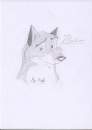 Balto Just Made Up!