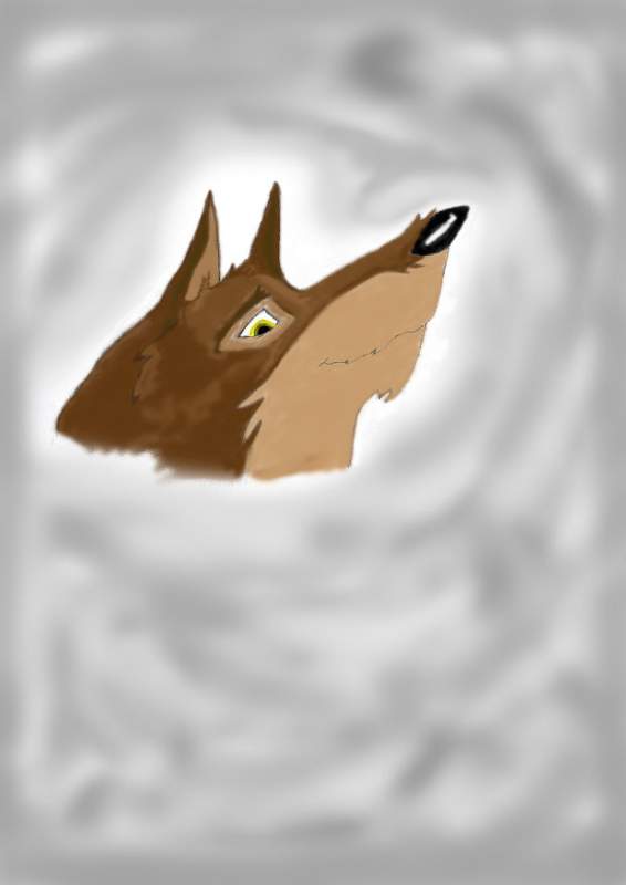 Balto Coloured