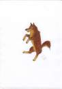 Balto Colour 2