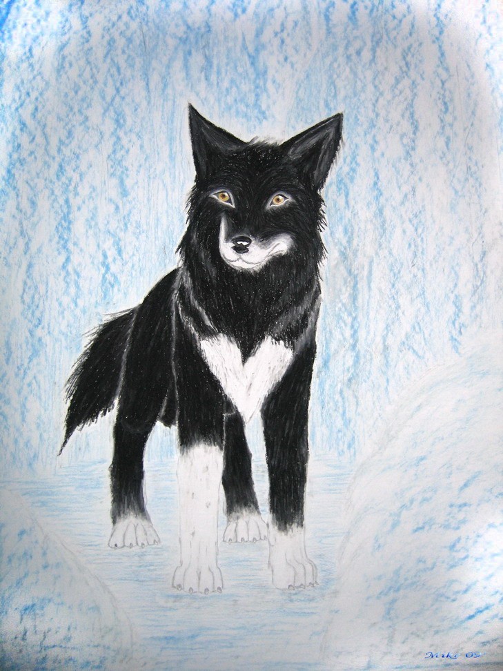 The Real Balto