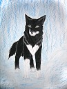 The Real Balto