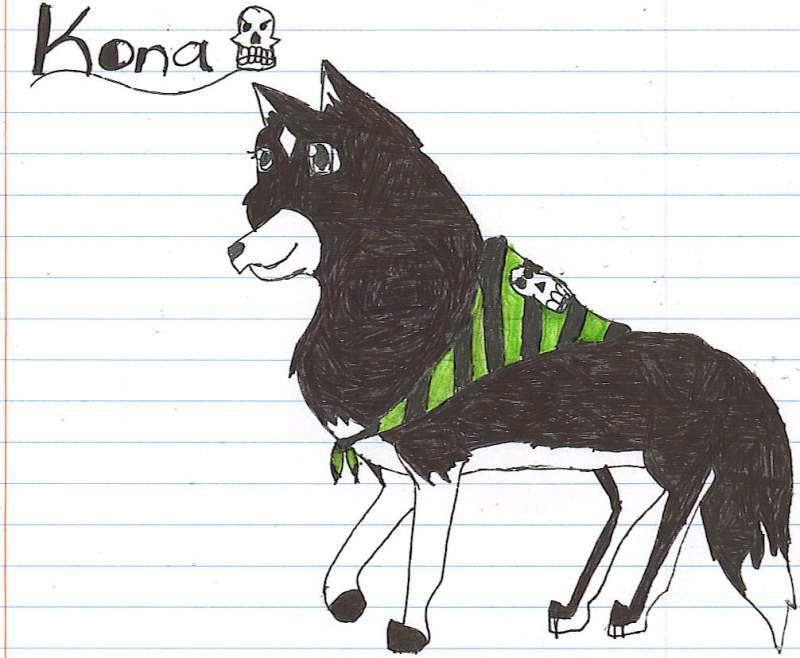             Kona