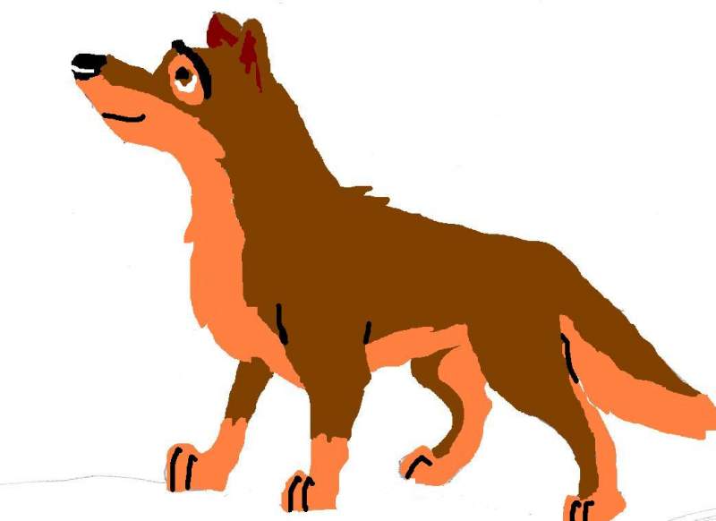 Balto