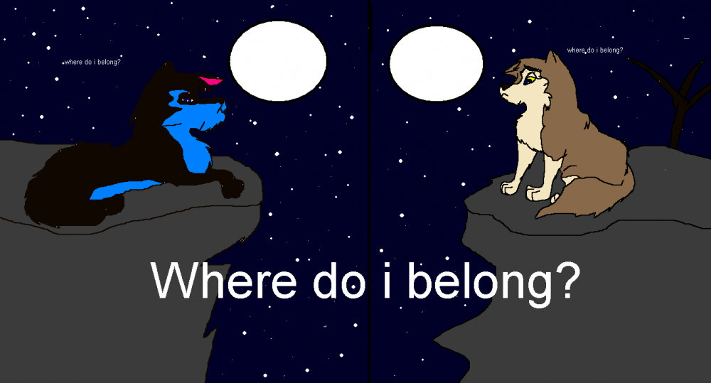 where do they belong?