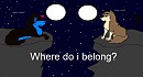 where do they belong?