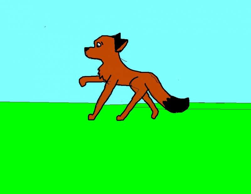 Roni The Fox