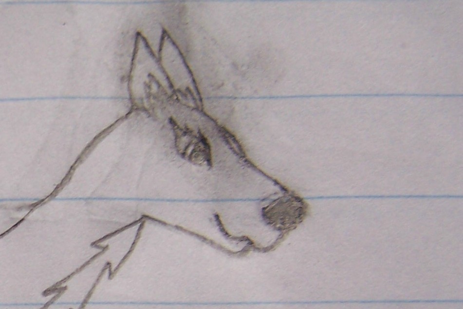 My Version of Aleu