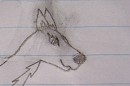 My Version of Aleu