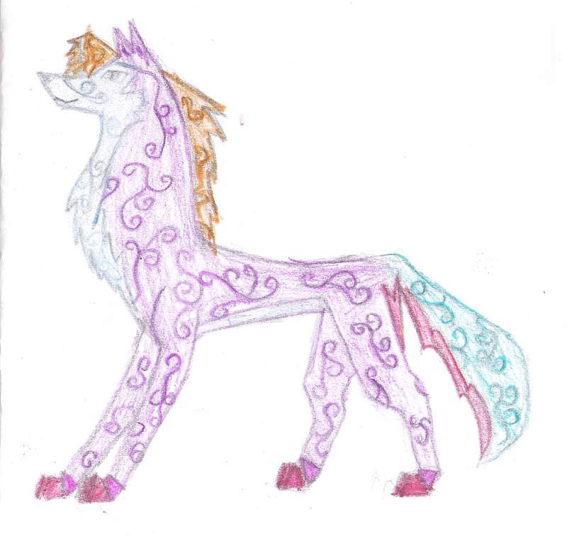 Rainbow wolf