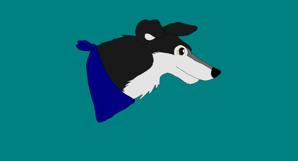 My dog