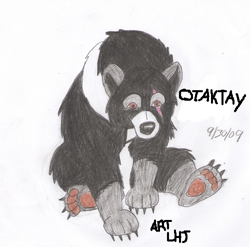 Otaktay drawing!